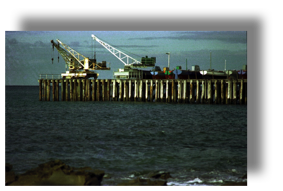 Lorne Pier 81